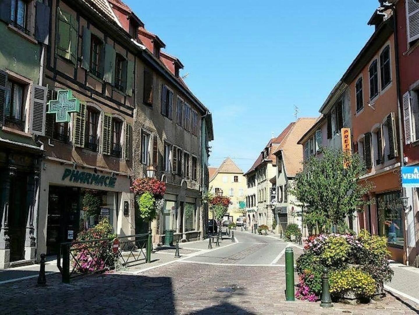 Studio L'Epicea Climatisation Sejour Parfait Soultz-Haut-Rhin 외부 사진